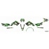 Decal Kit Stage6 green – black Derbi X-Treme / X-Race Decal Kit Stage6 green – black Derbi X-Treme / X-Race