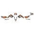 Decal Kit Stage6 orange – white Derbi X-Treme / X-Race Decal Kit Stage6 orange – white Derbi X-Treme / X-Race