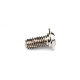 Brake Disc Screw M8x14mm