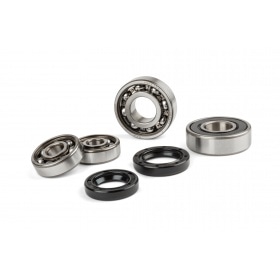 Bearing Set gearbox Stage6 HQ Minarelli
