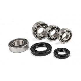 Bearing Set gearbox Stage6 HQ Peugeot