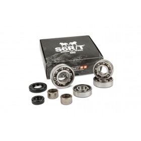 Bearings + Oil Seals gearbox Stage6 HQ Minarelli AM6