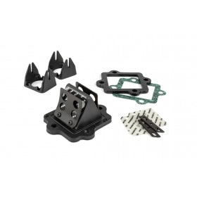 Stage6 Reed Valve Viton Minarelli