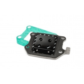 Reed Valve Stage6 Viton® Minarelli vertical