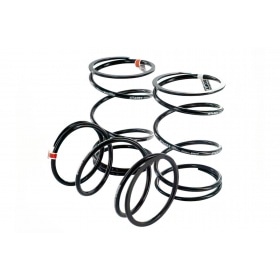 Griezes momenta atsperu komplekts 3x stiprina Minarelli / Ķīna 2-taktu dzinējs