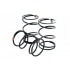 Stage6 Torque Springs Peugeot Speedfight / Trekker / Ludix Stage6 Torque Springs Peugeot Speedfight / Trekker / Ludix