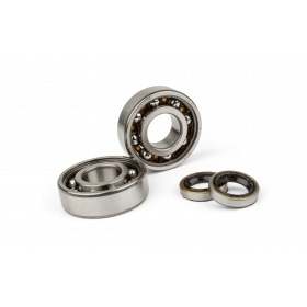 Crankshaft bearings and oil seals MBK 51 Stage6 C3 Polyamide