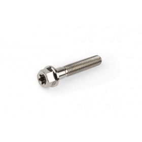 Titanium Bolt M6x35mm Stage6 R/T