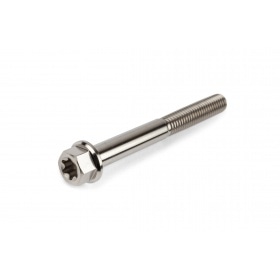 Titanium Bolt M6x55mm Stage6 R/T