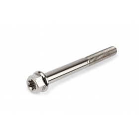 Titanium Bolt M6x60mm Stage6 R/T
