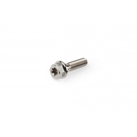 Titanium Bolt M5x20mm Stage6 R/T
