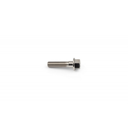 Titanium Bolt M5x20mm Stage6 R/T Titanium Bolt M5x20mm Stage6 R/T