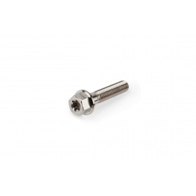 Titanium Bolt M5x25mm Stage6 R/T