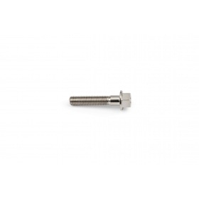 Titanium Bolt M5x25mm Stage6 R/T