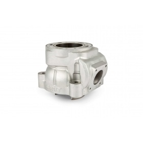 Cilindrs Stage6 R/T 100cc FLR karterim Malossi C-One / RC-One