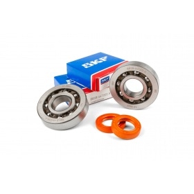 Crankshaft Bearing Set Stage6 R/T C4 polymer cage Piaggio Zip
