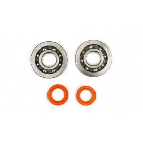 Crankshaft Bearing Set Stage6 R/T C4 polymer cage Piaggio Zip