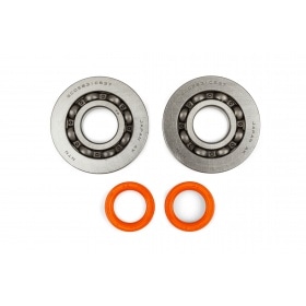 Crankshaft Bearing Set Stage6 R/T steel cage Gilera Runner 125 -180 2-stroke