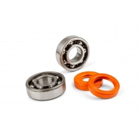 Crankshaft Bearing Set Stage6 R/T C3 polyamide cage for 20mm journal AM6