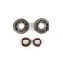 Crankshaft Bearings + Oil Seals Stage6 C4 polymer cage Piaggio / Gilera / Vespa Crankshaft Bearings + Oil Seals Stage6 C4 polymer cage Piaggio / Gilera / Vespa