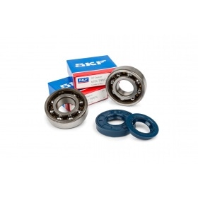 Crankshaft Bearings + Oil Seals Stage6 6204 C4 polymer cage Minarelli / China 2-stroke