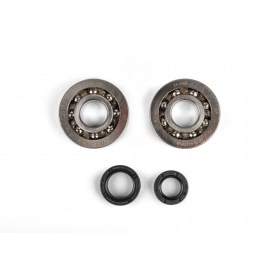 Crankshaft Bearings + Oil Seals Stage6 C4 polymer cage Peugeot vertical before 2004