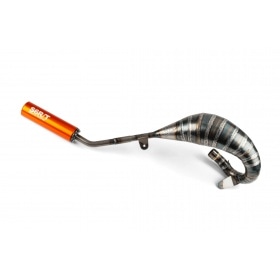Exhaust Stage6 R/T 70 - 80 Beta RR before 2021 orange