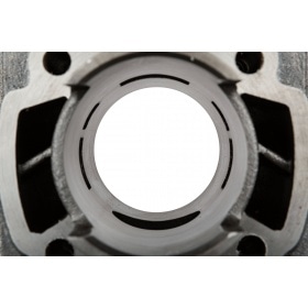 Cylinder 100cc Peugeot Speedfight 100