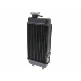 Radiator OEM Generic Trigger