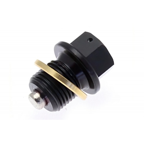 Magnētiskā eļļas iztukšošanas skrūve M8x1,25 Magnētiskā eļļas iztukšošanas skrūve M8x1,25