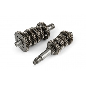 Teknix Transmission Minarelli AM6