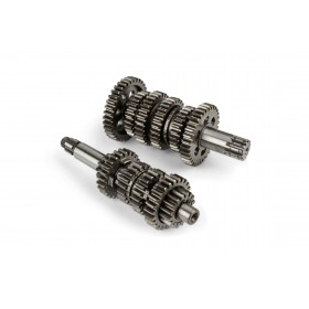 Teknix Transmission Minarelli AM6