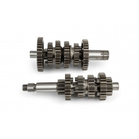 Teknix Transmission Minarelli AM6