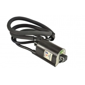 Aizdedzes spole Honda Shi / Pantheon 125cc