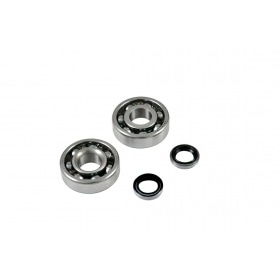 Kloķvārpstas gultnis + eļļas blīvējuma komplekts tērauda būris MBK 51