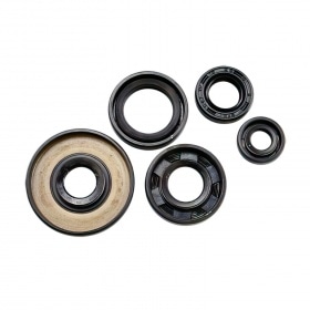 Oil Seal Kit engine Yamaha PW50