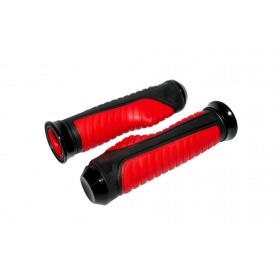 Rokturi Anatomic sarkans