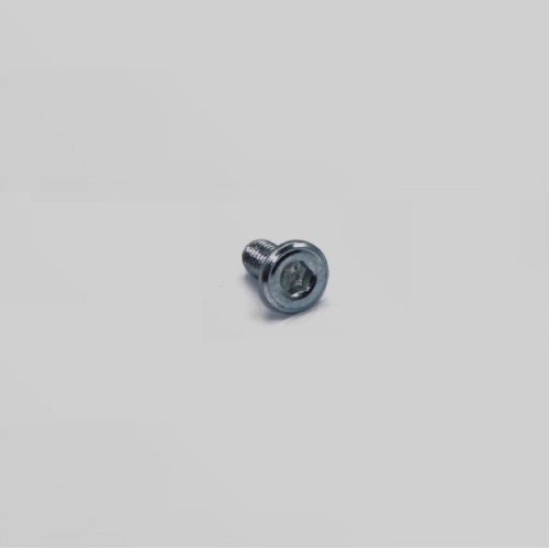 Screws (x4) brake disc M8 x 14mm Pit Bike / Dirt Bike Screws (x4) brake disc M8 x 14mm Pit Bike / Dirt Bike