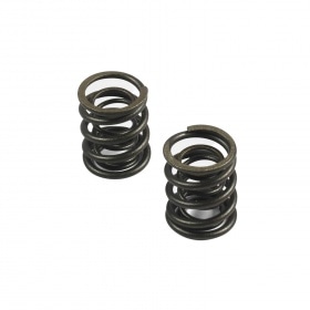 Valve Springs Pit Bike YX 150cc / 160cc