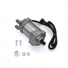 Startera motors Pit Bike / Dirt Bike motors 190cc Zongshen / Daytona