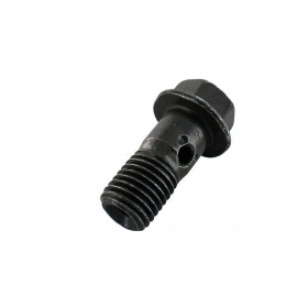 Banjo Bolt, M10x1.25 / steel, hex head with flange (brake cylinder / brake caliper)