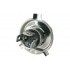 Halogēna priekšējo lukturu spuldze H4 12V/35W/35W (P43T) Halogēna priekšējo lukturu spuldze H4 12V/35W/35W (P43T)