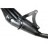 Exhaust system Tecnigas Q-TRE, Piaggio, with E-mark Exhaust system Tecnigas Q-TRE, Piaggio, with E-mark