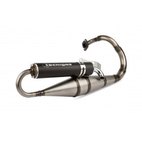 Exhaust Tecnigas Next R Honda SFX / X8R