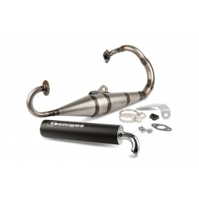 Exhaust Tecnigas Next R Honda SFX / X8R