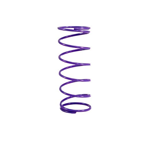 Griezes momenta atsperes purpurs +22% Top sniegumi Minarelli Griezes momenta atsperes purpurs +22% Top sniegumi Minarelli