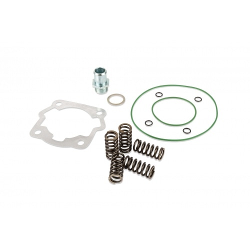 Cylinder Kit Top Performances Sport 70cc cast iron Derbi Euro 2 (EBE / EBS) Cylinder Kit Top Performances Sport 70cc cast iron Derbi Euro 2 (EBE / EBS)