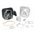 Top Performances Cylinder Kit 50cc cast iron Peugeot Ludix AC Top Performances Cylinder Kit 50cc cast iron Peugeot Ludix AC