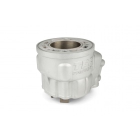 Cylinder Kit TPR Factory 100cc AM6