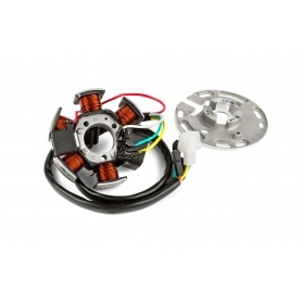 Aizdedzes stators OEM kvalitāte Top Performances Derbi Euro 2 85W (DUCATI 531734380)